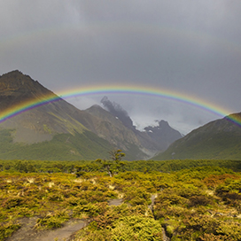 Why does the soil smell after the rain?