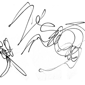 What do your scribbles reveal about your personality? (Part One)