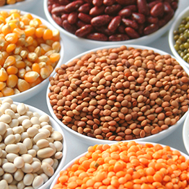 Carbohydrates and Protein needs for athletes or sports practitioners