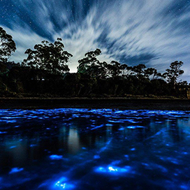 Tasmania�s Glowing Water