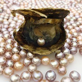 How Do Oysters Make Pearls?