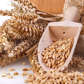 The Benefits of Wheat