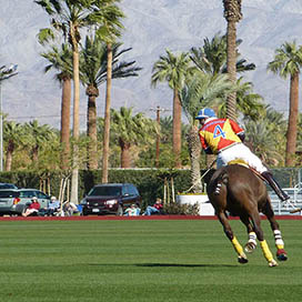 Polo