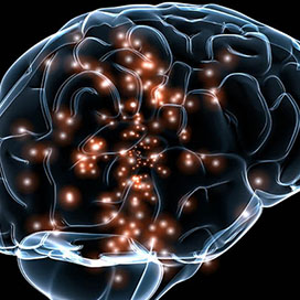 What Is Emotional Intelligence?