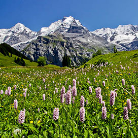Best Places to Visit in Switzerland