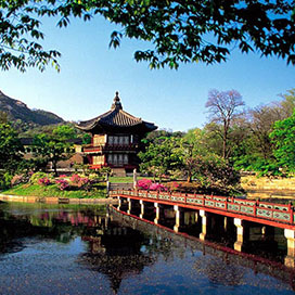 The 5 Best Cities in Korea