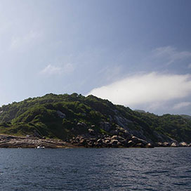 Ilha da Queimada Grande, Brazil